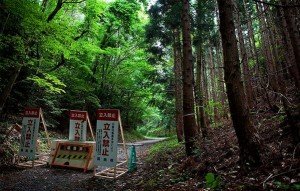Fotografía en la que puede verse cómo señalizaban los caminos para determinar la “zona de exclusión”.