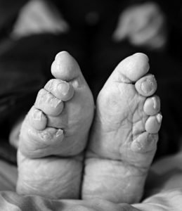 Fotografía de pies de loto