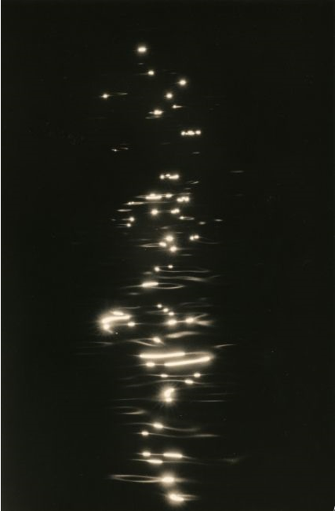 Kawa = Flor, fotografía expuesta de Masao Yamamoto.